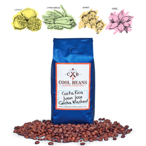 Costa Rica - Juan Jose Geisha Washed