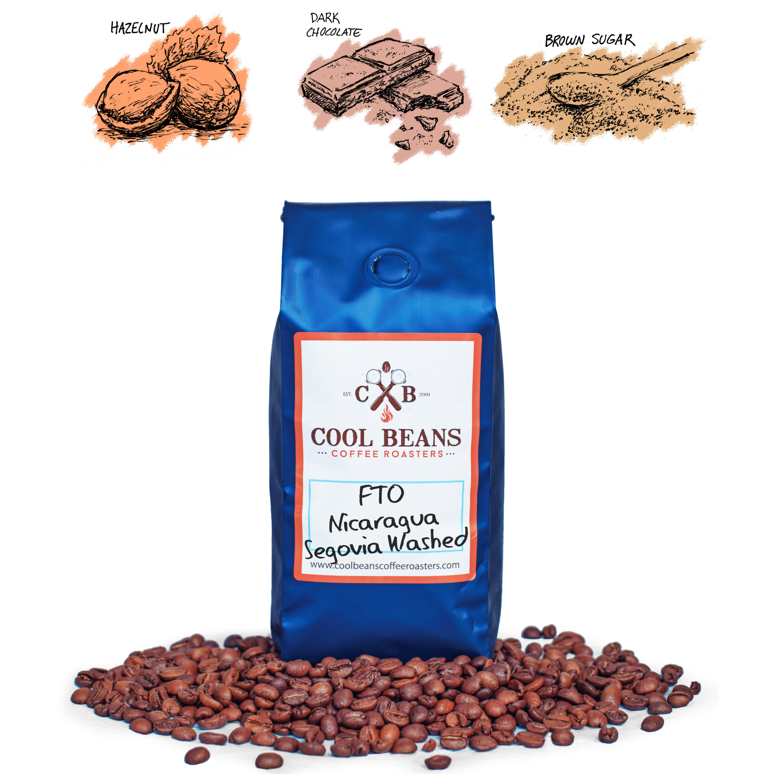 FTO Nicaragua- Segovia Washed